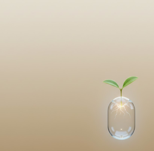 symbolizing Nature Made's trust and leadership, expressing the brand's core values through a sprout growing through a transparent capsule.