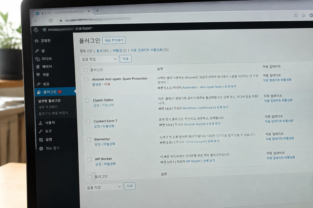 플러그인 목록에서 최근 업데이트 날짜가 보이는 화면, 관리자 주소와 도메인은 모자이크 처리