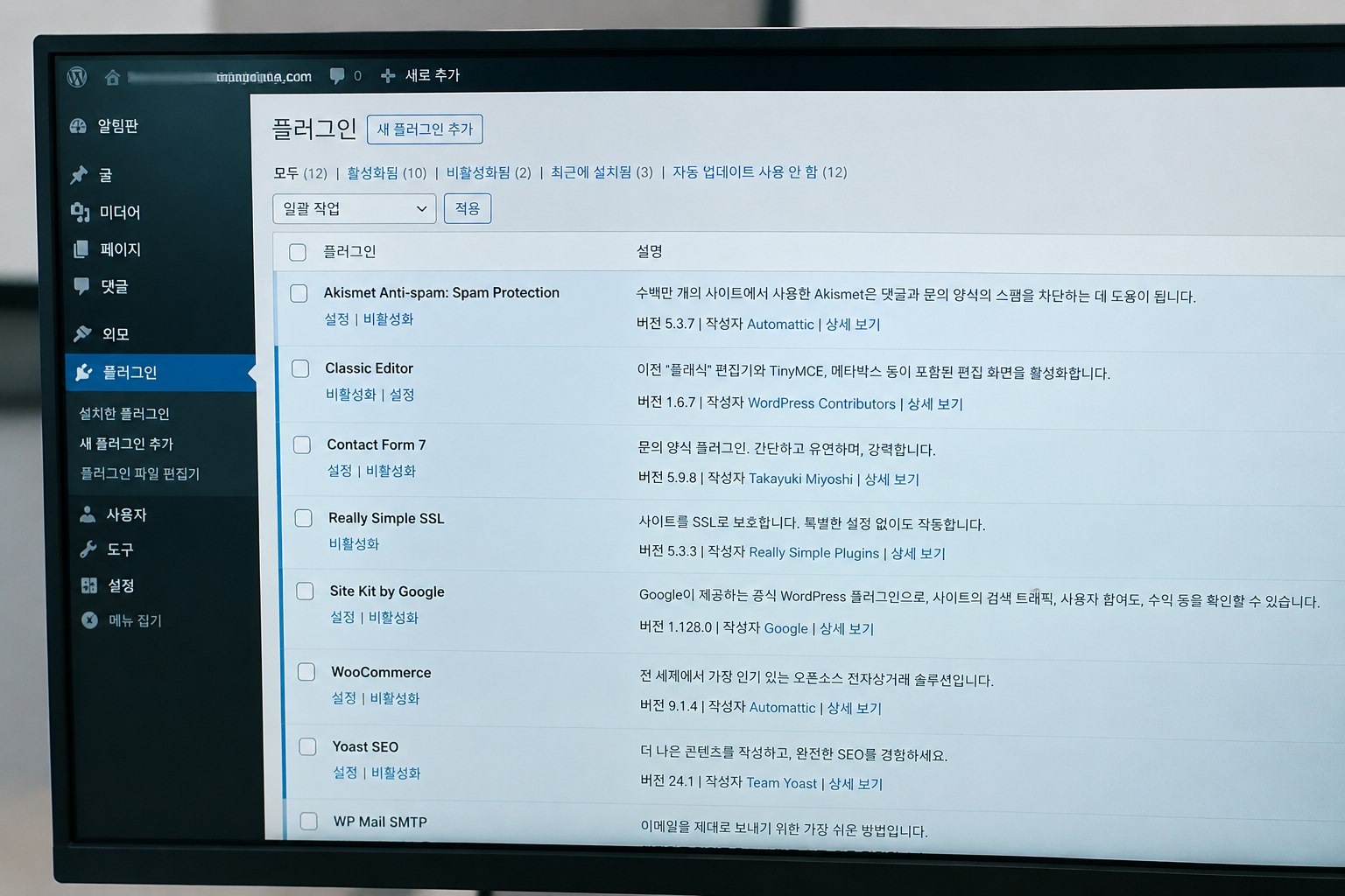 최근 설치하거나 업데이트한 플러그인을 살펴보는 목록 화면, 관리자 주소와 도메인은 모자이크 처리