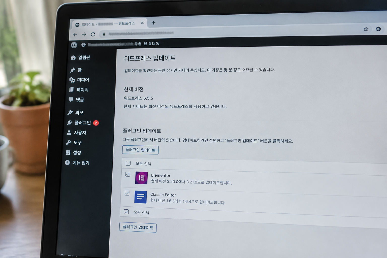 워드프레스 업데이트 상태를 살펴보는 관리자 화면, 관리자 주소와 도메인은 모자이크 처리