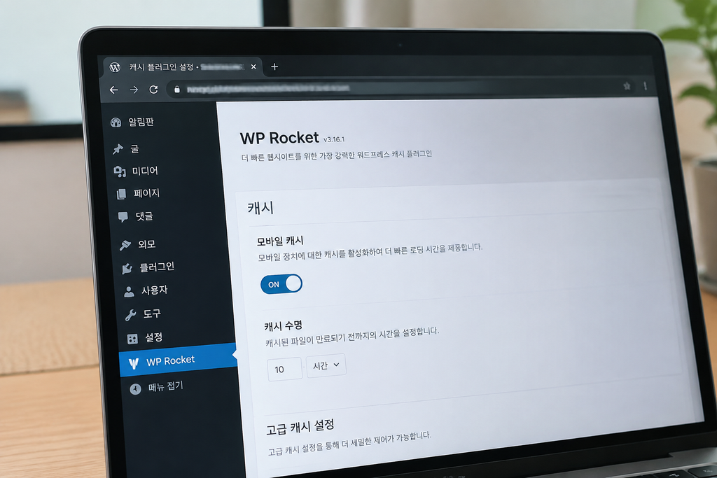 사용 중인 워드프레스 캐시 설정 화면, 도메인과 관리자 주소는 모자이크 처리
